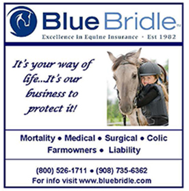 visit www.bluebridle.com