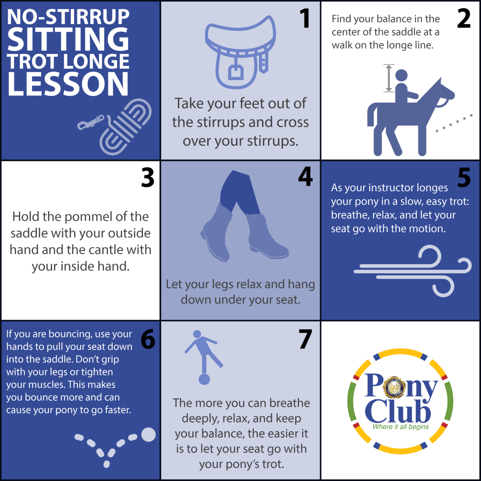 No Stirrups November for Beginners Pony Club Blog