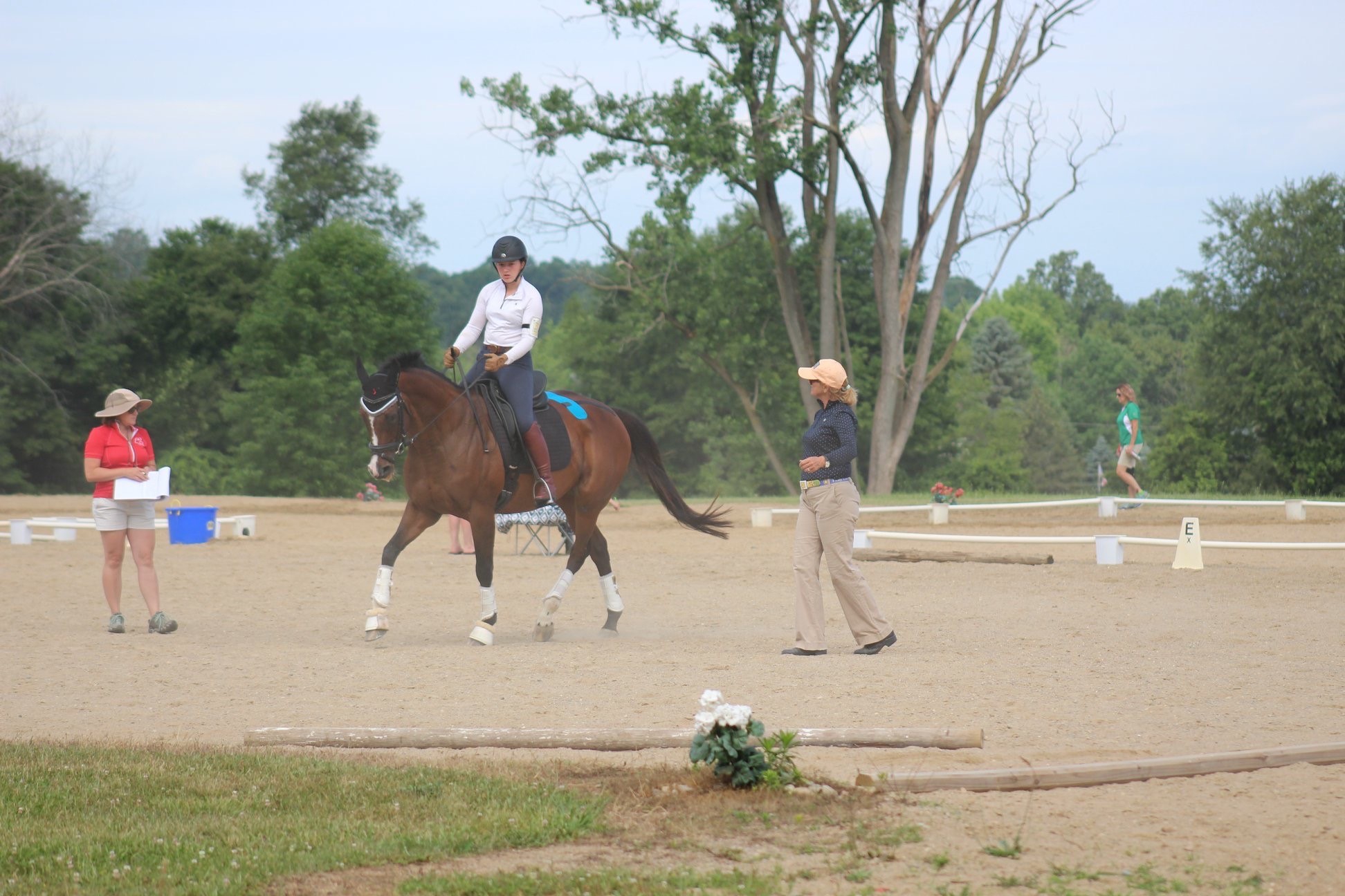 NYB: Developing Professional Skills Through Pony Club