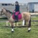 Pony Club Member Spotlight Ashlyn H.