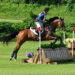 Marissa jumping her horse cross country