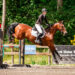 Show jumper