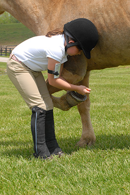 Rider picking out a hoof