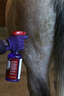 Spot treating a stain while grooming