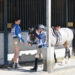 Stable manager assists young rider and horse