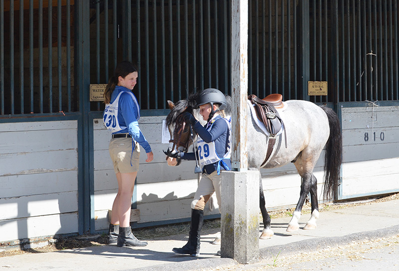 Stable manager assists young rider and horse
