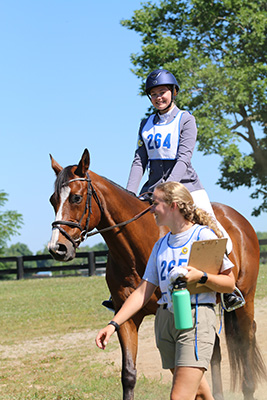 Stable manager guiding rider down to the arena