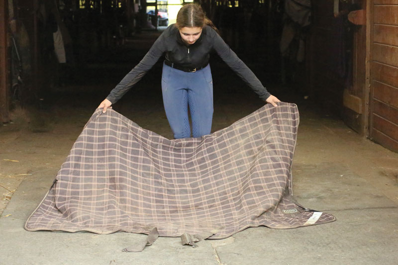 girl folding horse blanket