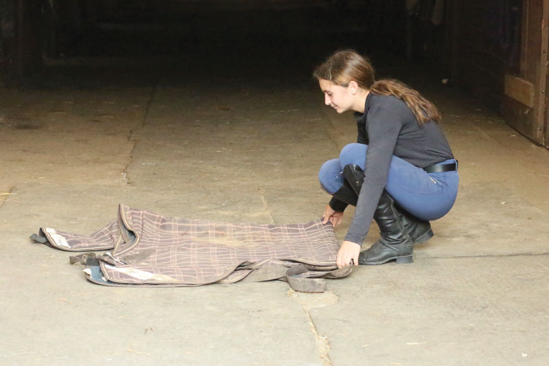 girl folding horse blanket