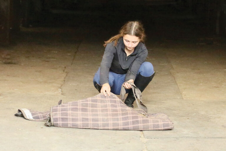 How to Fold a Horse Blanket