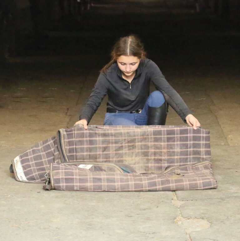 How to Fold a Horse Blanket