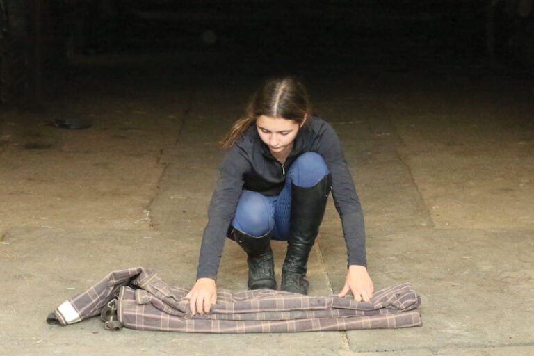 How to Fold a Horse Blanket