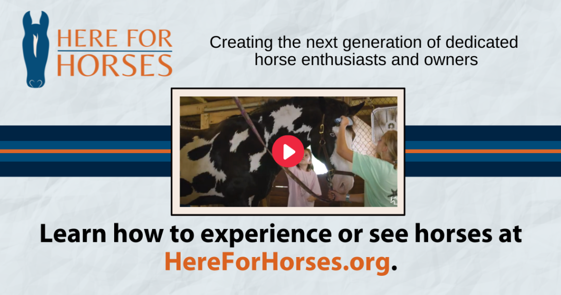 Here for Horses launches