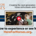 Here for Horses launches