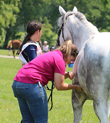 A Pony Club member with her horse waiting while a vet checks the heart rate of the horse after a Cross Country round.