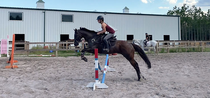 Kensey D - Pony Club Member Spotlight