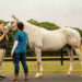 equine vet care