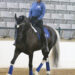 Rider in Indoor Arena