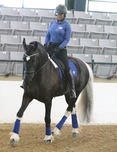 Rider in Indoor Arena