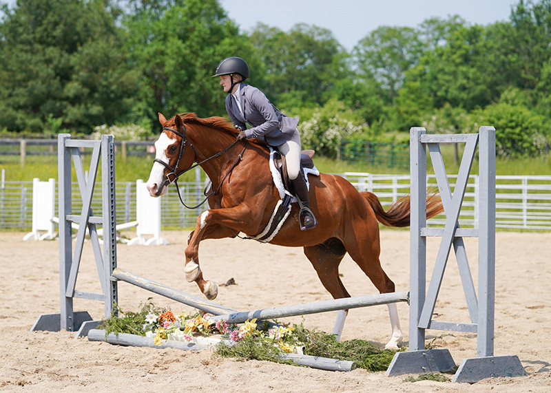 A young woman jumping a horse.