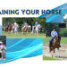 A collage of several different horse riding disciplines.