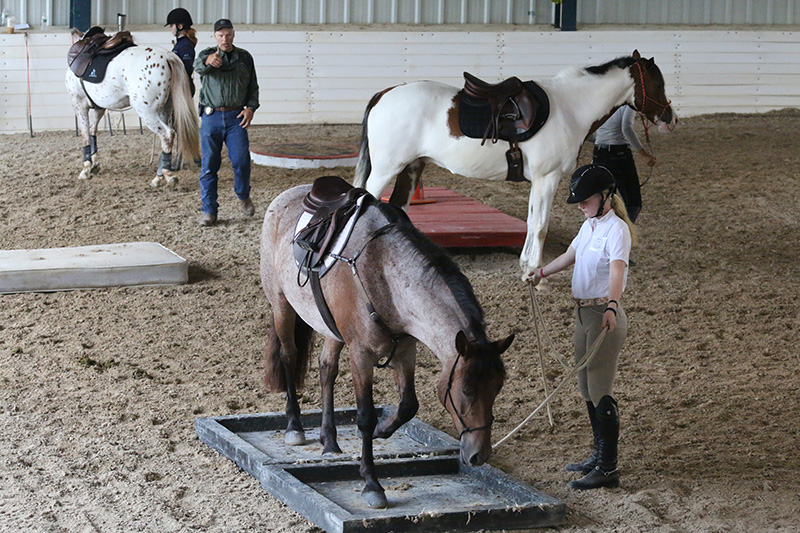 A group of people and their horses working on ground exercises.