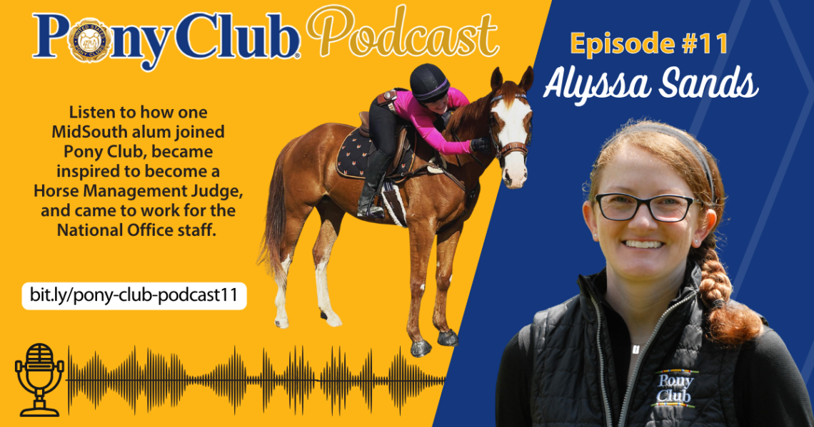 A promotional design for the Pony Club Podcast episode #11