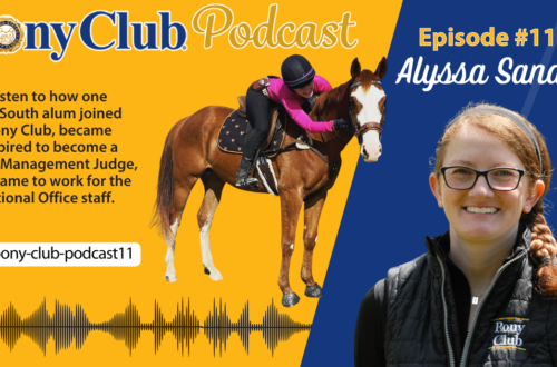 A promotional design for the Pony Club Podcast episode #11