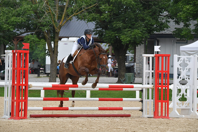 A young girl jumping her horse.