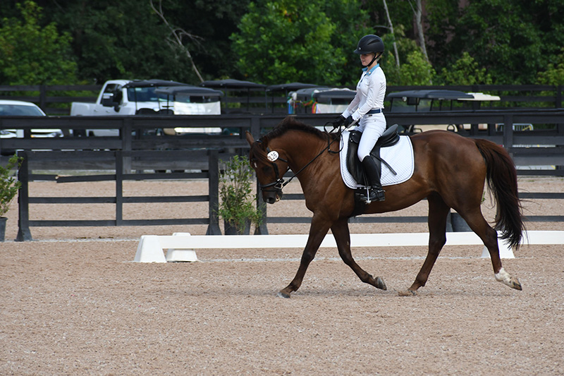 A young girl riding her horse in a dressage arena.