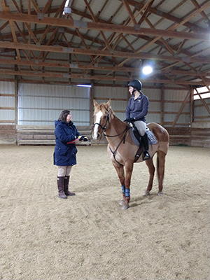 Rider on horse standing in the middle of the arena with an instructor standing beside them, talking to them.