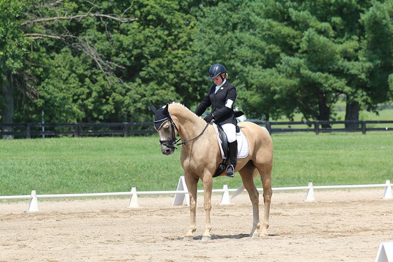 A young girl on a palomino horse in a Dressage arena.