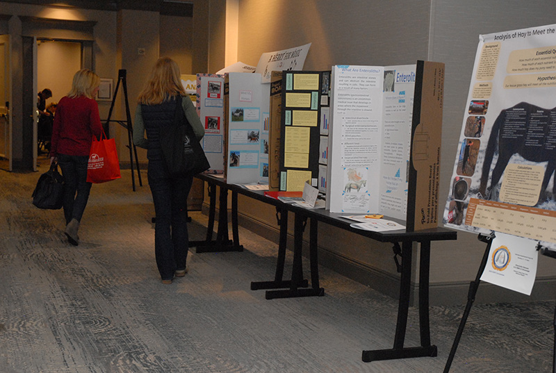 Individuals looking at projects from the Research Project Fair.