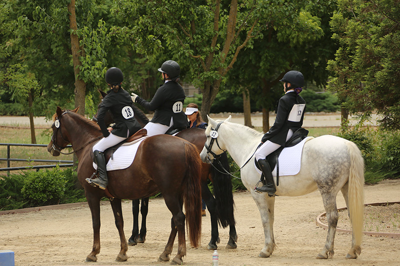 A group of girls sitting horseback facing away from the camera.