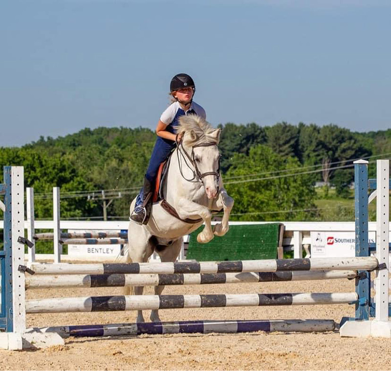 A girl jumping her horse towards the camera.