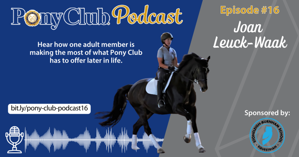A promotional design for the Pony Club Podcast episode #16