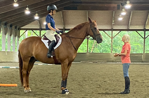 A young girl on her horse talking to an instructor.