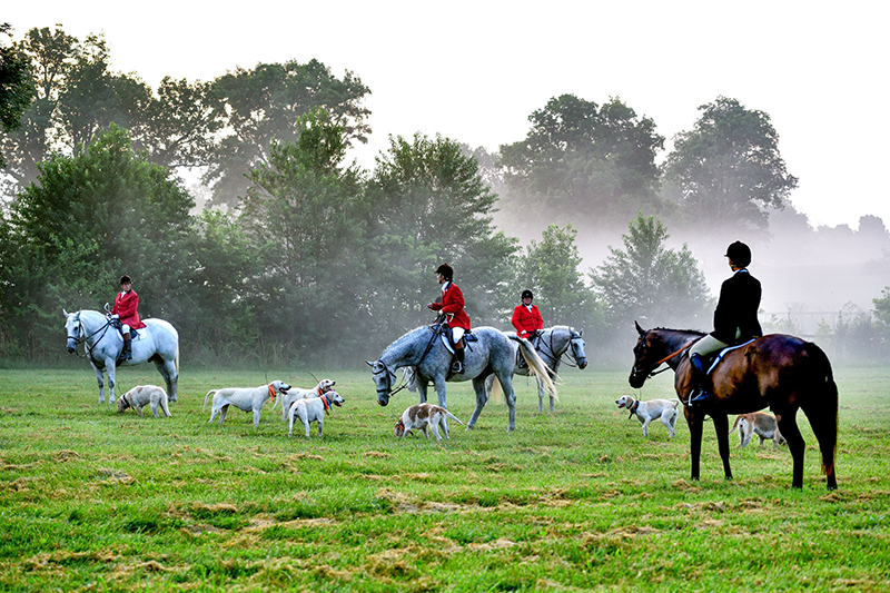 A group of individuals horseback in a hunt field.