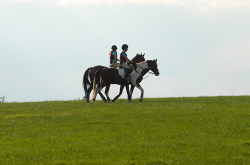 Two young riders on horses hacking across a hill.