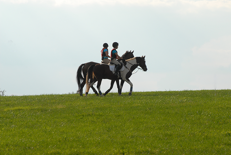 Two young riders on horses hacking across a hill.