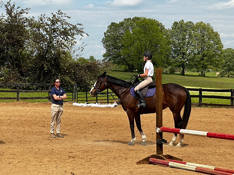 A girl on her horse in a lesson, pausing to listen to the instructor.