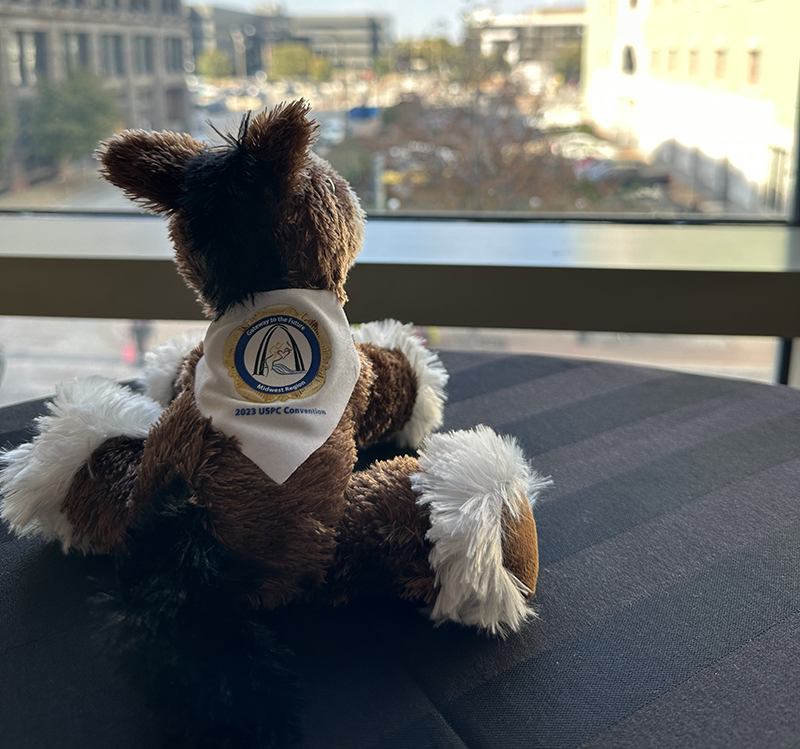 A stuffed horse sitting on a table, looking out the window over the city of St. Louis.