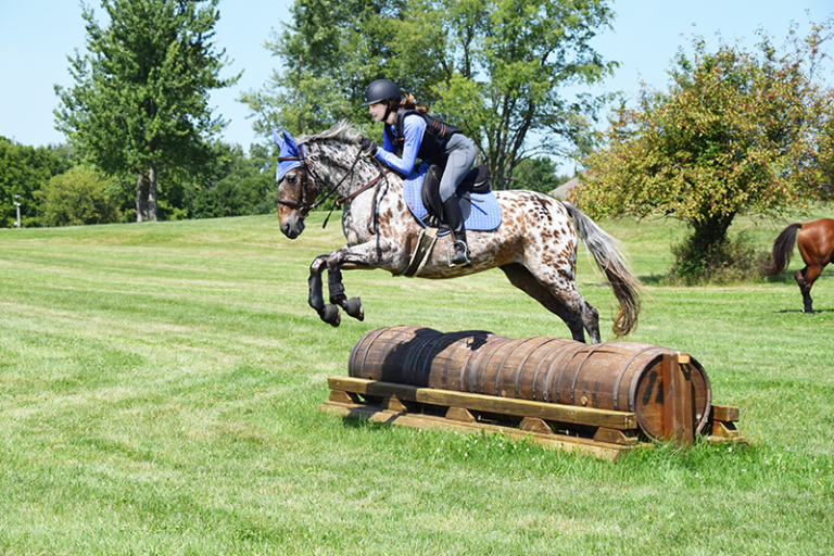 Member Spotlight: Bella Field