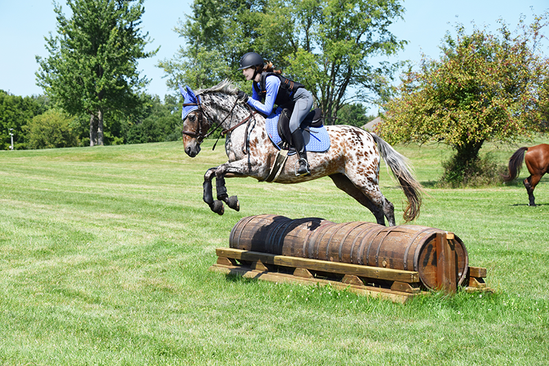 A girl jumping her horse over a log out on a cross country field.