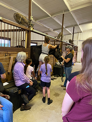 A group of people watching a horse braiding demonstration.