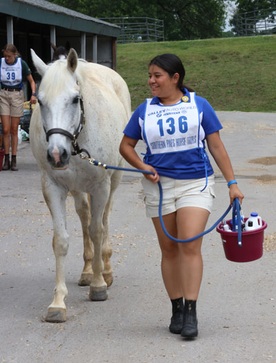 girl leading horse at pony club rally