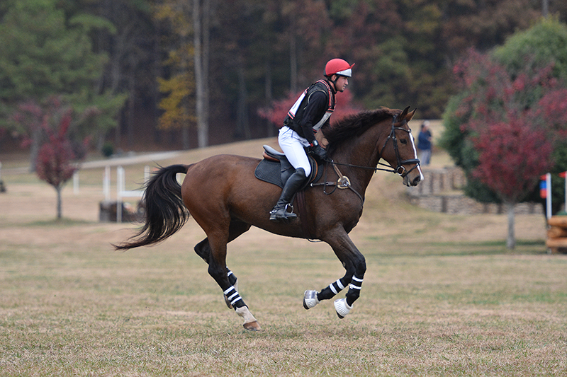 A young man galloping his horse on a cross-country course.