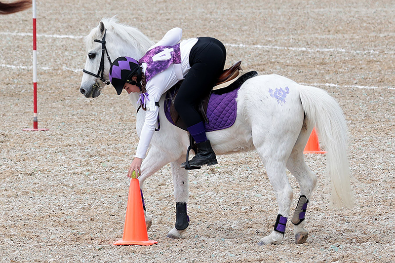A young girl riding her pony, reaching down to pick up a cone.