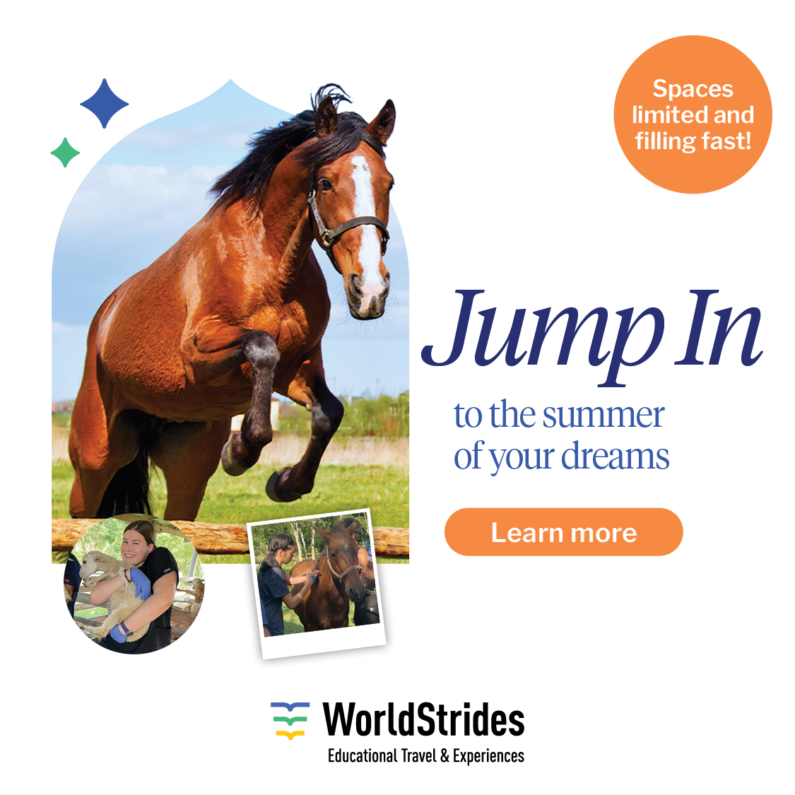 world-strides-educational-travel-horse