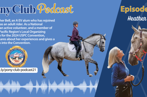A promotional design for the Pony Club Podcast episode #21